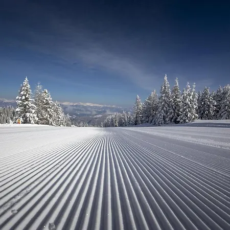 Haus Alpengold Апартаменты *