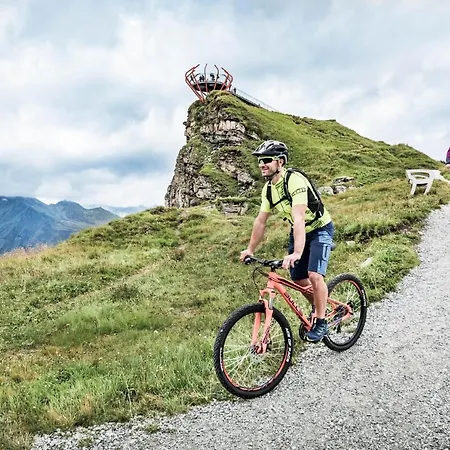 Апартаменты Haus Alpengold *